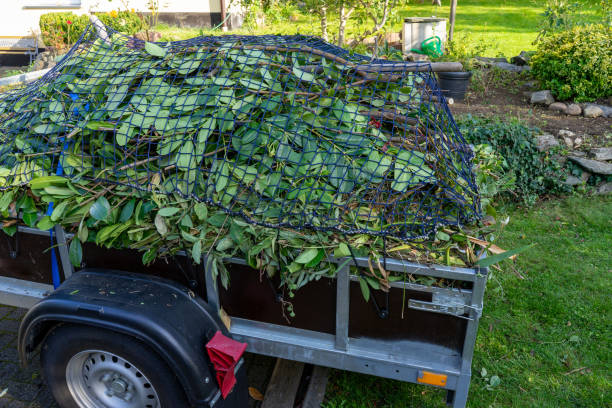 Best Same-Day Junk Removal Services  in Island Lake, IL